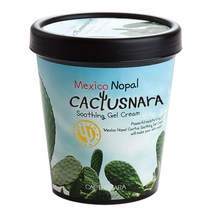 [선인장나라] 멕시코 노팔 칵투스나라 선인장 수딩젤 크림 300ml 선인장크림
