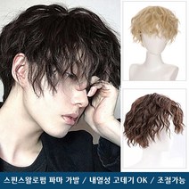 곱슬머리 파마 남성가발 블랙 스핀스왈로펌 남자 아이돌 통가발, 1개, 블랙C