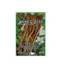 백도라지 1000립 향이진한 도라지씨앗