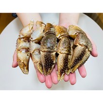 서해안 자연산 급냉 소라게발 1kg [대 품절] [소 40~50미]