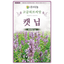 허브씨앗 캣님 800립