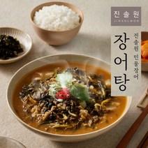 진솔원 담백하고 깊은 국내산 민물 장어탕 500g x 10팩, 1