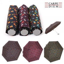 [까르페디엠]파인앤유 2단 3단 5단 우산 양우산