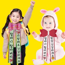 인간화환 아기화환 리본 글씨문구 생일 생신 축하 결혼식 어버이날 기념일 어깨띠, 02. 에바폼 아기화환(퍼플), 04. 고령딸기