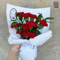 (로라네팜) 어버이날 카네이션 생화 꽃다발 꽃배달, 스탠다드노랑(5대)