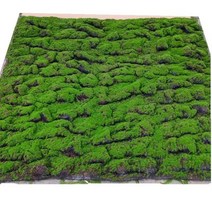 이끼 테라리움 비바리움 코쿤 매트 벽 바닥 태라리움, 가을100x100cm