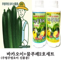 바카오이(10립)+대유 물푸레 2호 세트 과채류용 수경재배용 양액비료 *주렁주렁오이 꼬꼬마양배추 파프리카 적환무 수경재배용*, 1세트