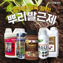 뿌리발근 활착제 메소나 랜드콘JS 씨솔 자바라 발근력 강력한 뿌리 인기제품, 랜드콘제이에스