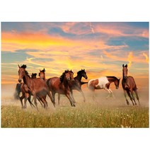 A087-0/말사진 대형사진 비코팅 대(코팅및특대는따로검색구매요) A1 풍경화 풍경화그림 인테리어사진, 유포지(비코팅-대)