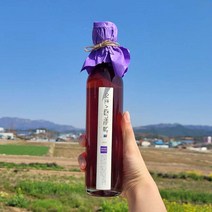 식초시집가는날 블루베리 천연 발효식초 300ml, 1개