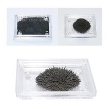 철가루 자석 자기장 관찰 실험 미니 자력선 5개 학습 완구