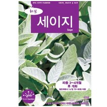 세이지 50립 허브씨앗