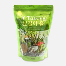 카틀레아 만세선인장 분갈이 스투키 제라늄 분갈이흙, KT 다육이전용분갈이흙 2.5L