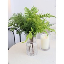 사계절 싱그러운 그린테리어 보스톤&루모라 -인테리어조화, 보스톤
