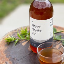 양촌리상회 매실액 1000ml 하동매실 매실청 매실진액 상큼함 천연소화제, 1000ml x 1병