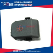 배터리 커버 (919802M040)-현대모비스 부품 공식대리점 온라인쇼핑몰 파츠로 제네시스, 1개