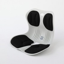 가재울커머스 스마트홈 바른체어 블랙투톤 인체공학의자 자세잡아주는의자 509-40569456ea, gajae943 본상품선택, gajae943 본상품선택