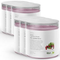 신서리티 링곤베리 가루 150g x 6개