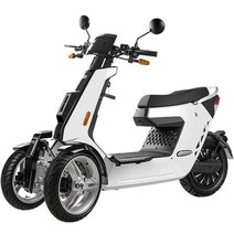 역삼륜 전기 오토바이 전동 스쿠터 세발 3발 3륜 리튬, 표준 버전 레드