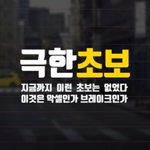 윈스턴 극한초보 길치 차량스티커 혼합 운전 왕 유리시트컷팅 주문제작 선물효도 디자인, 1.극한초보02(혼합)(EX003), 화이트