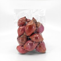 신금 샬롯 300g 작은 미니 양파 캠핑 혼밥 요리재료 간편야채, 100g