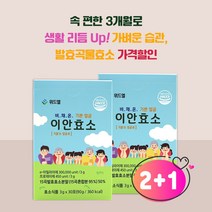 속편한 발효곡물 소화효소 이안효소 (3g * 30포) x 3Box (3개월)