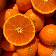 제주 산지직송 카라향, 카라향 중과 8kg(60~75과)