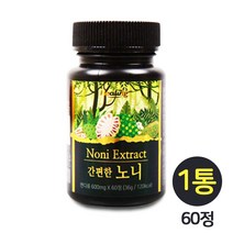 100% 리얼 노니 노니캡슐 노니정 노니정제 노니환 노니추출분말 파극천 야생노니 노니열매 알약타입 타블렛 프로제로닌 폴리페놀 효능 추천 100프로, 600mg, 60정, 1개