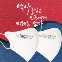[라로] 민주화운동 마스크 2D새부리형 30매 4.19 5.18 / 인쇄마스크 / 대형/중형, Design_2, 중형