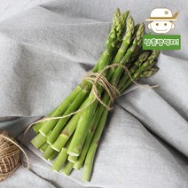 강원도에서 바로 보내드리는 생 아스파라거스 500g, 단품