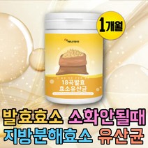 곡물 발효 효소 유산균 리파아제 락타아제 소화효소 성인 임산부 프로테아제 소화안될때 속이더부룩할때 프락토, 상세페이지 참조, 상세페이지 참조