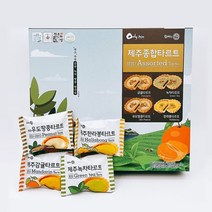 제주도 감귤 녹차 우도땅콩 한라봉 타르트 제주종합타르트 252g x 2박스