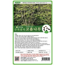 브랜드없음 고욤나무씨앗 30g[HR], 단품없음