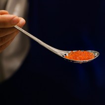 스테인리스강 캐비어 숟가락 새는 숟가락 알젓 트럼펫 숟가락 분자 요리 양식 요리사 실용 도구, 물고기 숟가락 50마리