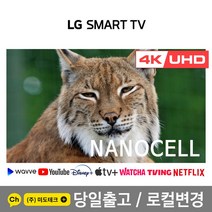 LG 75인치 4K UHD 나노셀 스마트 TV 21년형 75NANO91 리퍼, 2. 수도권역 벽걸이 +상하브라켓