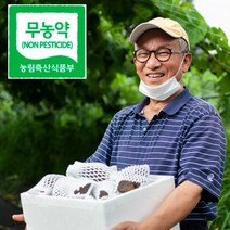 해원농장 무농약 열매마 하늘마 하늘열매마 1키로 5키로 마, 햇열매마, 2kg