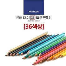 36색 전문가용 색연필 색연필화 인물화 컬러링 손그림 미술 초상화 연필 그림 동화 일러스트 드로잉 인강 준비물
