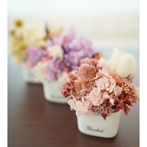 프리저브드 꽃꽂이키트 미니 센터피스만들기 3color, 옐로우