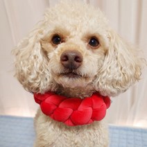 강아지 넥워머 목도리 고양이 목도리 포그니벨벳목도리, L28~32cm, 레드