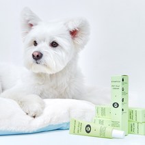 스탬푸드 펫 릴리프 크림 강아지 고양이 발 습진 상처 피부염 보습크림 연고, 20g, 1개