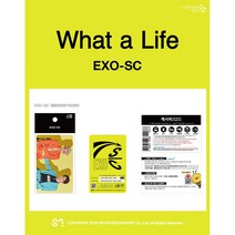 세훈&찬열(EXO-SC) - 캐시비 교통카드 (단체 ver.)