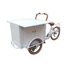 전동자전거 노점 foldable electric adult tricycle with 3, 전기식 CFR