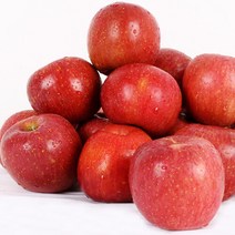 [이슬마루] 경북 의성 사과 3kg(10~12과내외), 단품