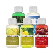 더허브샵 차량용 방향제 리필오일 50ml, 1개, 피톤치드