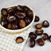 기찬 꾸러미 농산물 국내산 햇 꿀밤 1kg, 칼집 있는 꿀밤