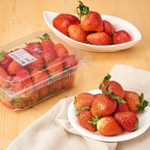 충주GAP상생사과(2.5KG/봉), 상생딸기(500G/팩)