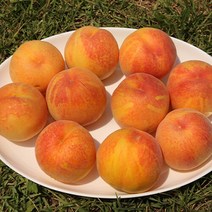 햇사레 장호원 황도복숭아 4kg (10-13과), 단품없음