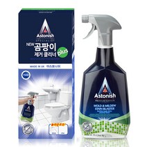 아스토니쉬 곰팡이 클리너 스프레이, 1개, 750ml