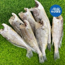 국산 참조기 반건조 냉동 두절조기 10미 450-500g 손질조기, 국산 두절 참조기 10미