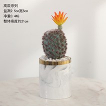 선인장 조화 화분 사무실 책상 거실 침실 테이블 인테리어 실크플라워 미니 화분, 키 큰 화분 K
